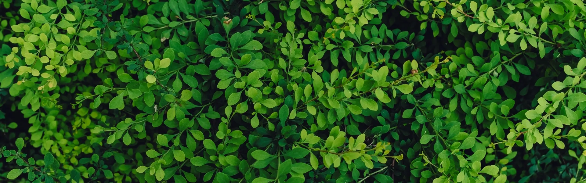 Our sustainability