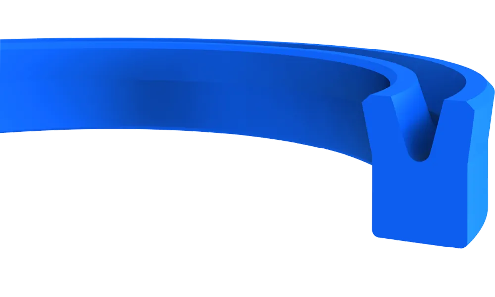 K21 Piston and Rod Seal